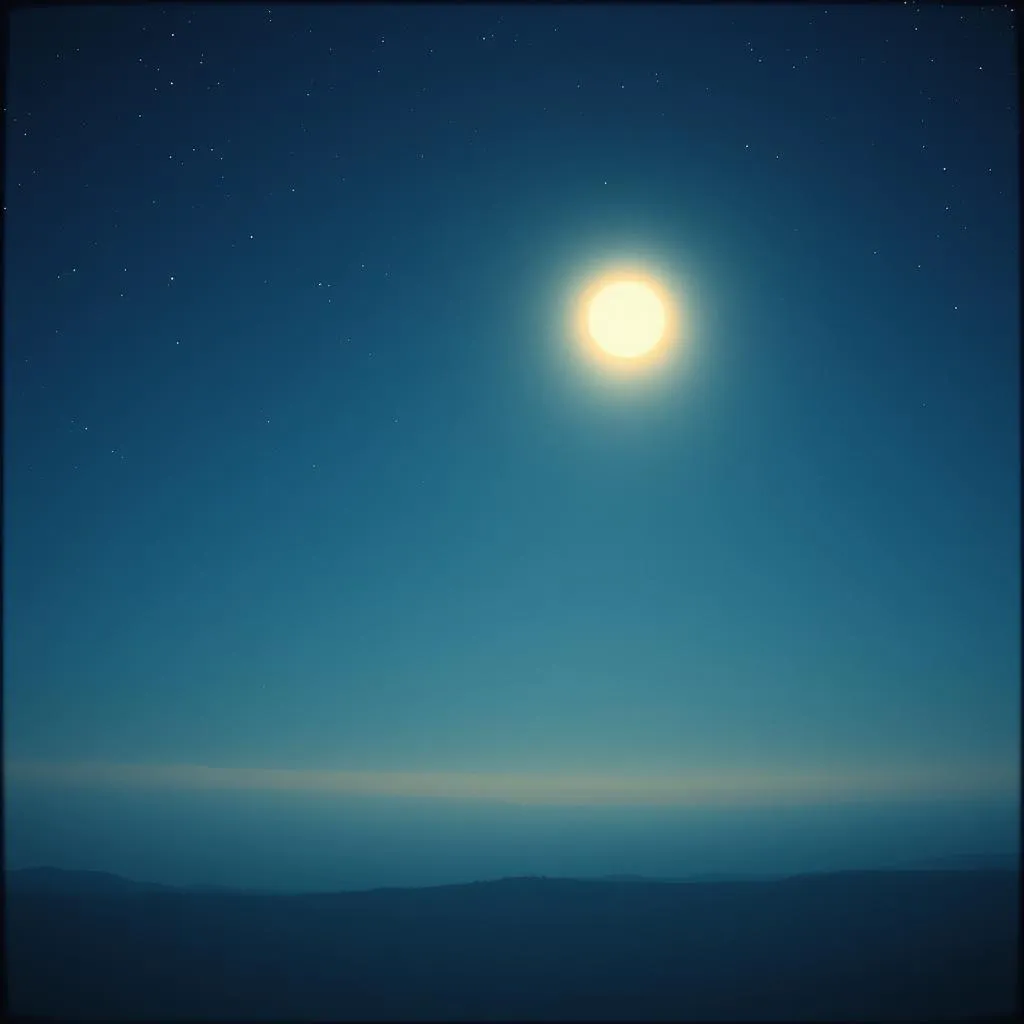 Moonlit Dreams