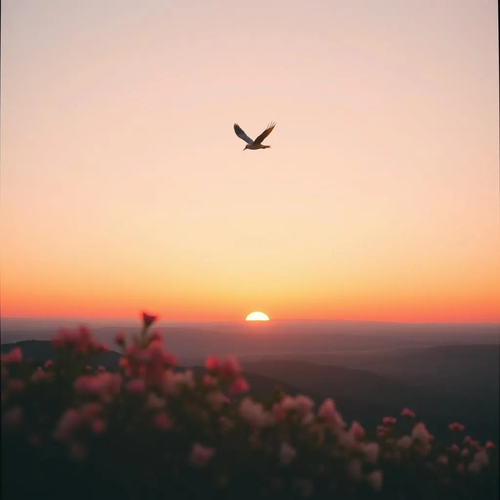 New Horizon