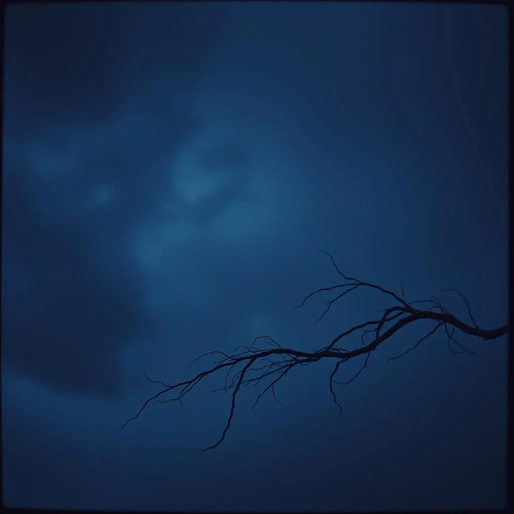Midnight mind