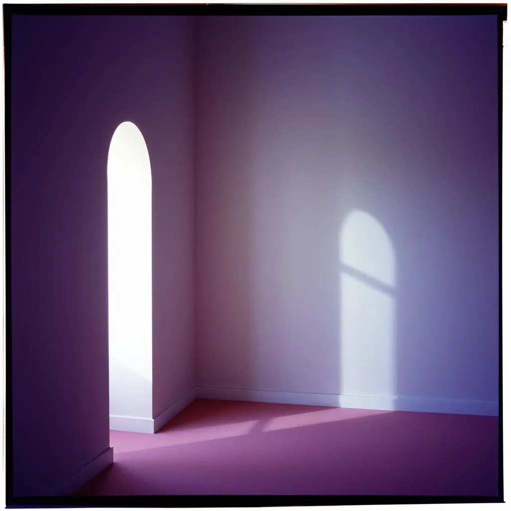 Echoes in the Shadows