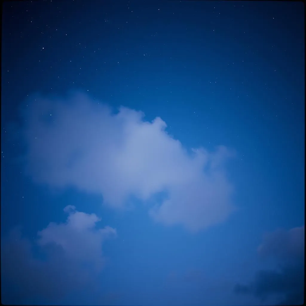 Dor