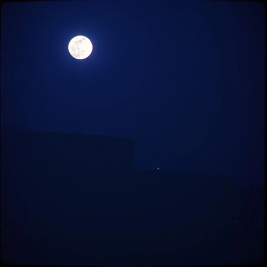Moonlit Dreams