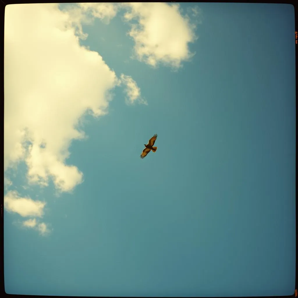 Wings of Rust