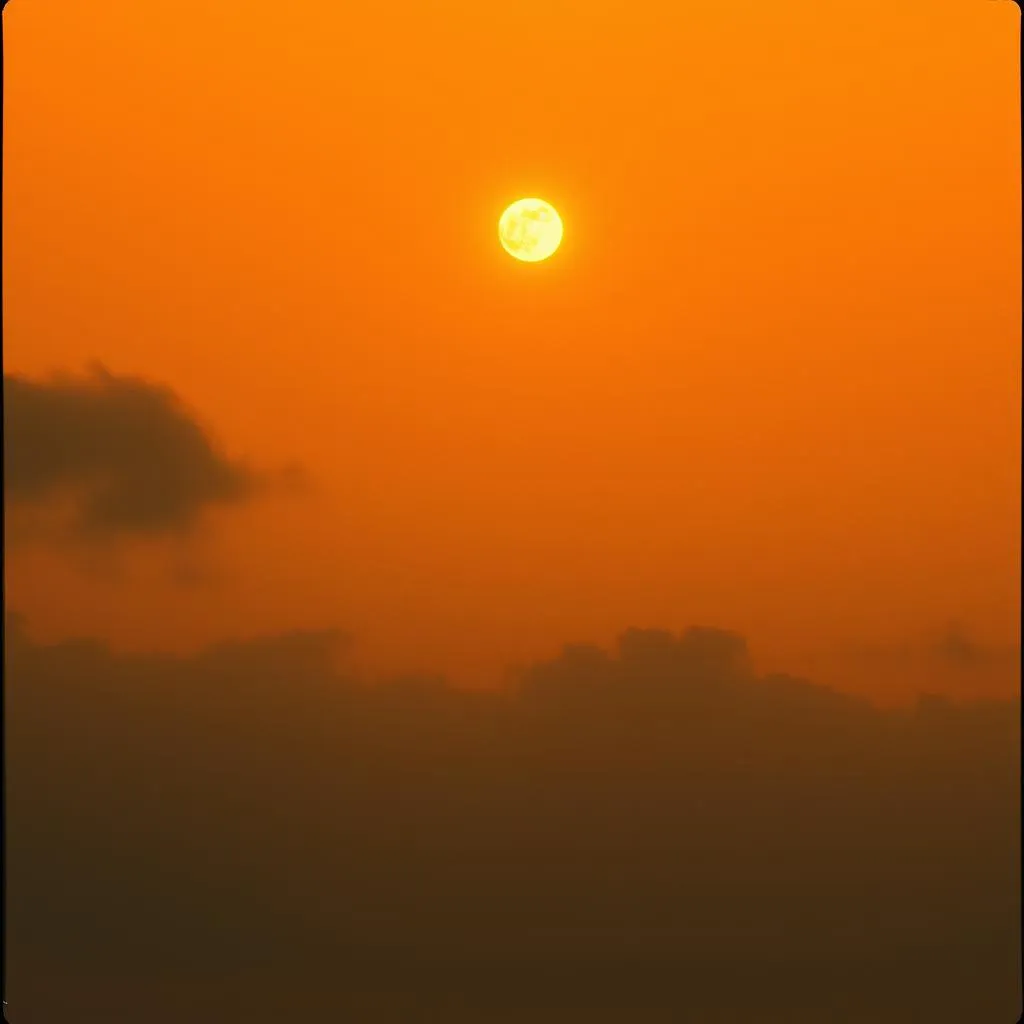 Dream of Paradise