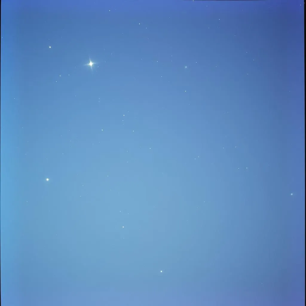 Minha estrela
