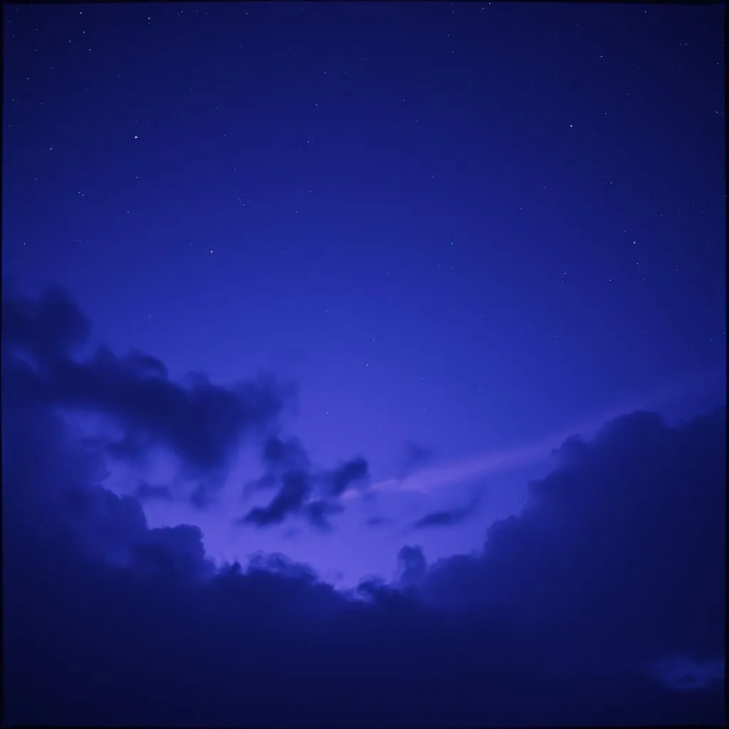 Velvet Night
