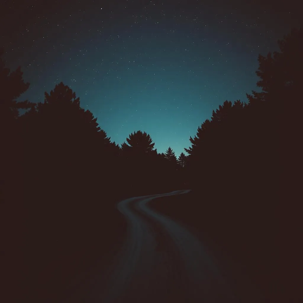 Dirt Road in the Darkness