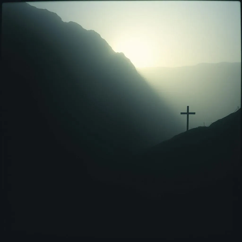 Fall of O Acoustic Folk