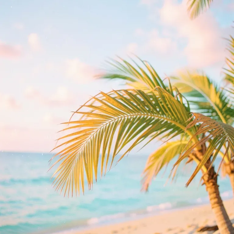 TROPICAL HEARTS