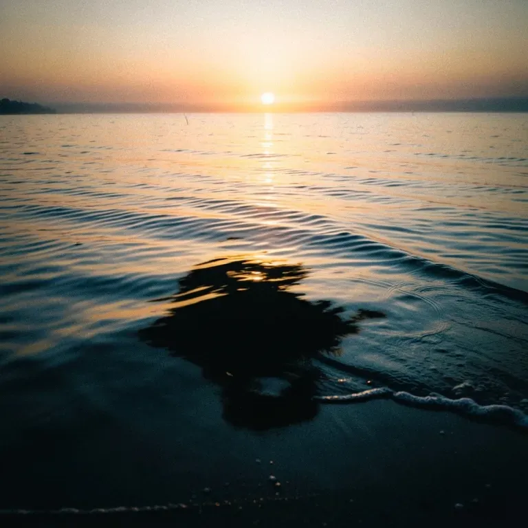 Still Water Black