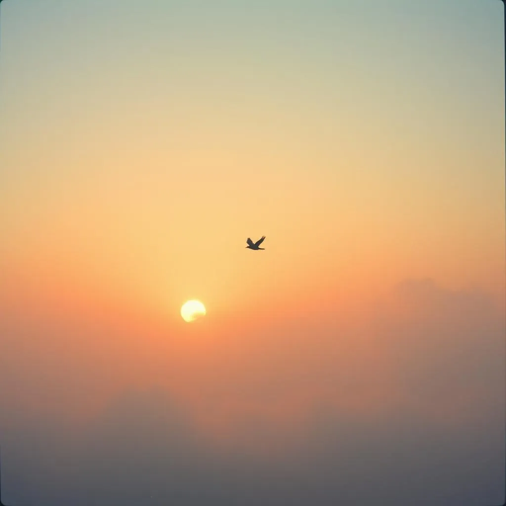 To fly