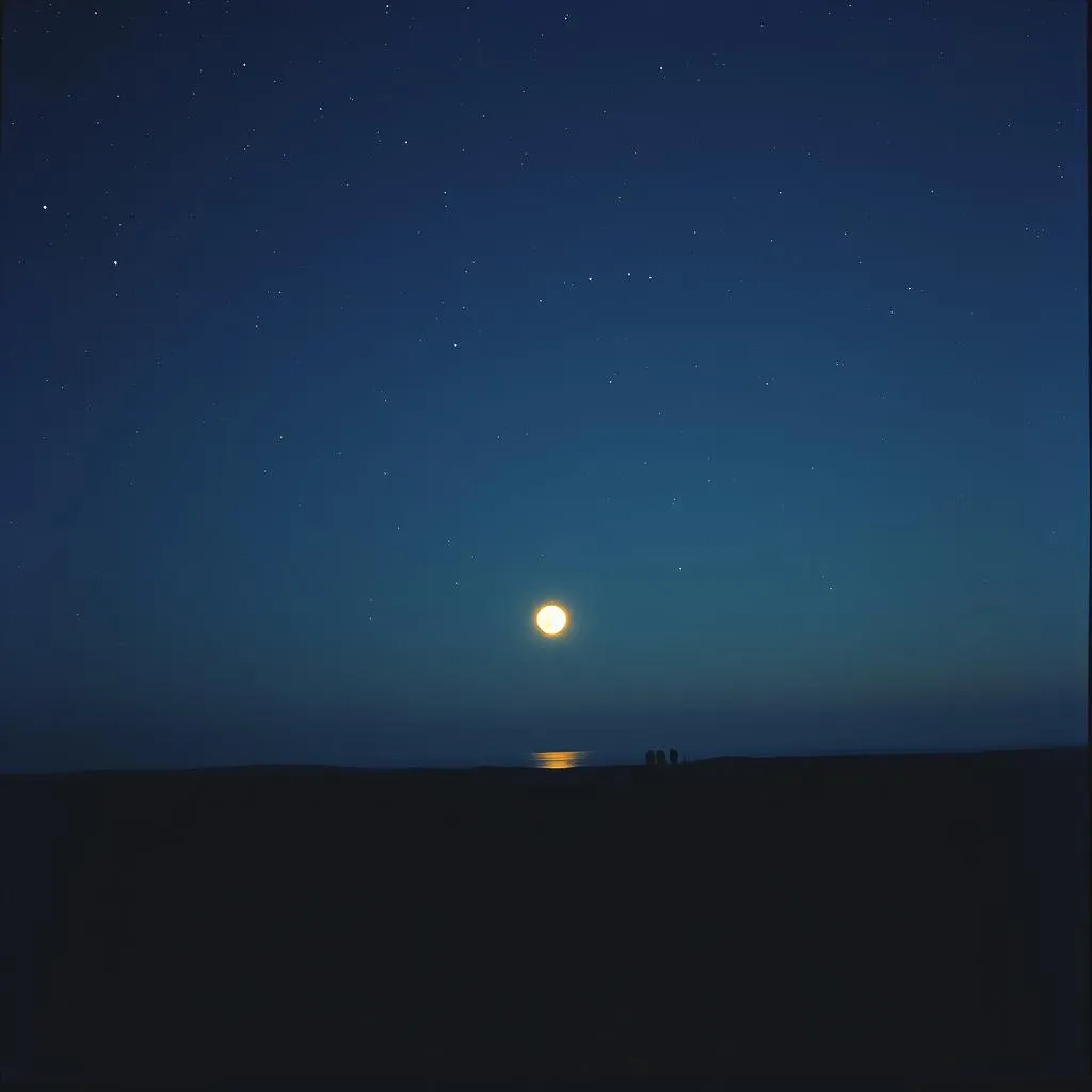 Moonlit Promises