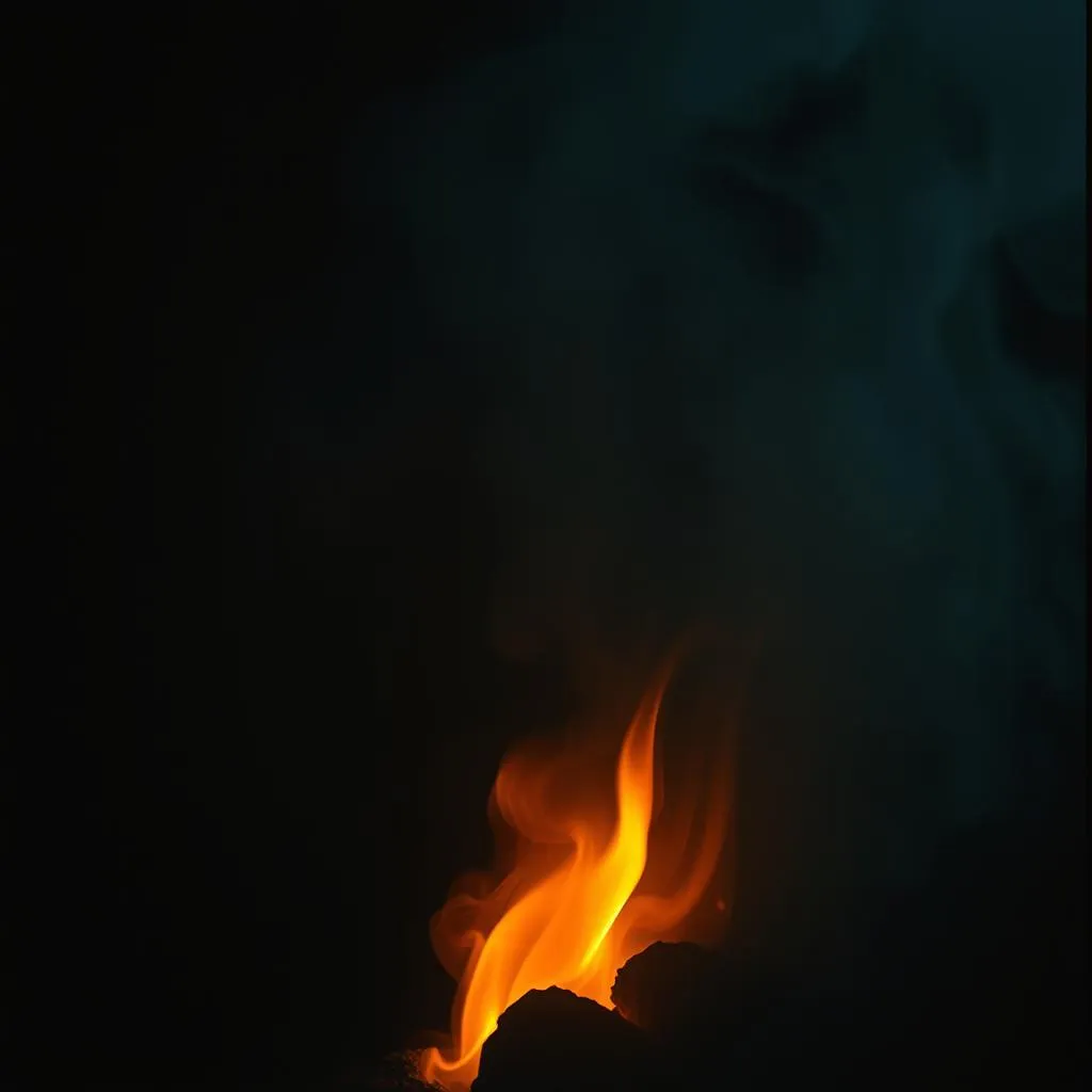 In the Fire