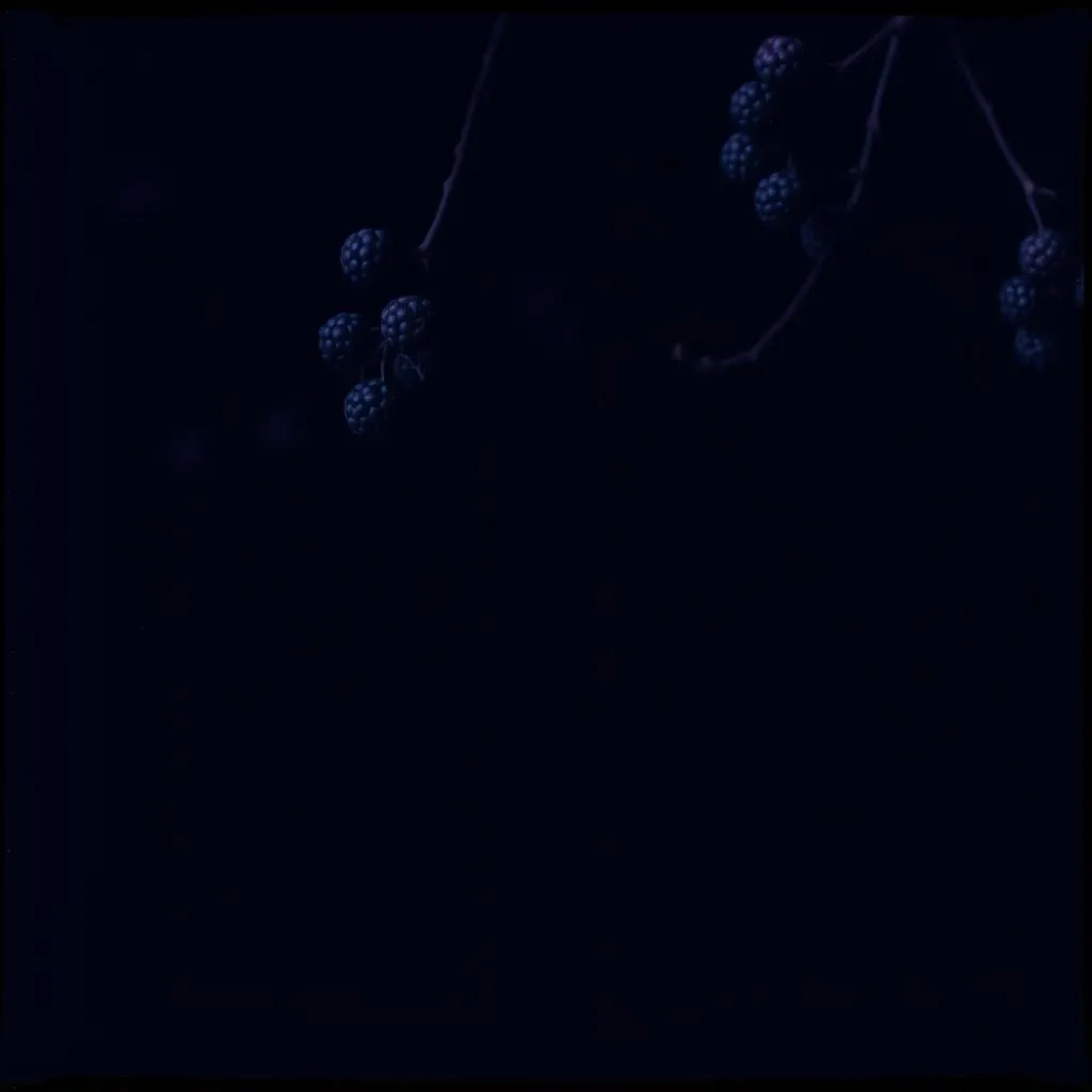 Burning black