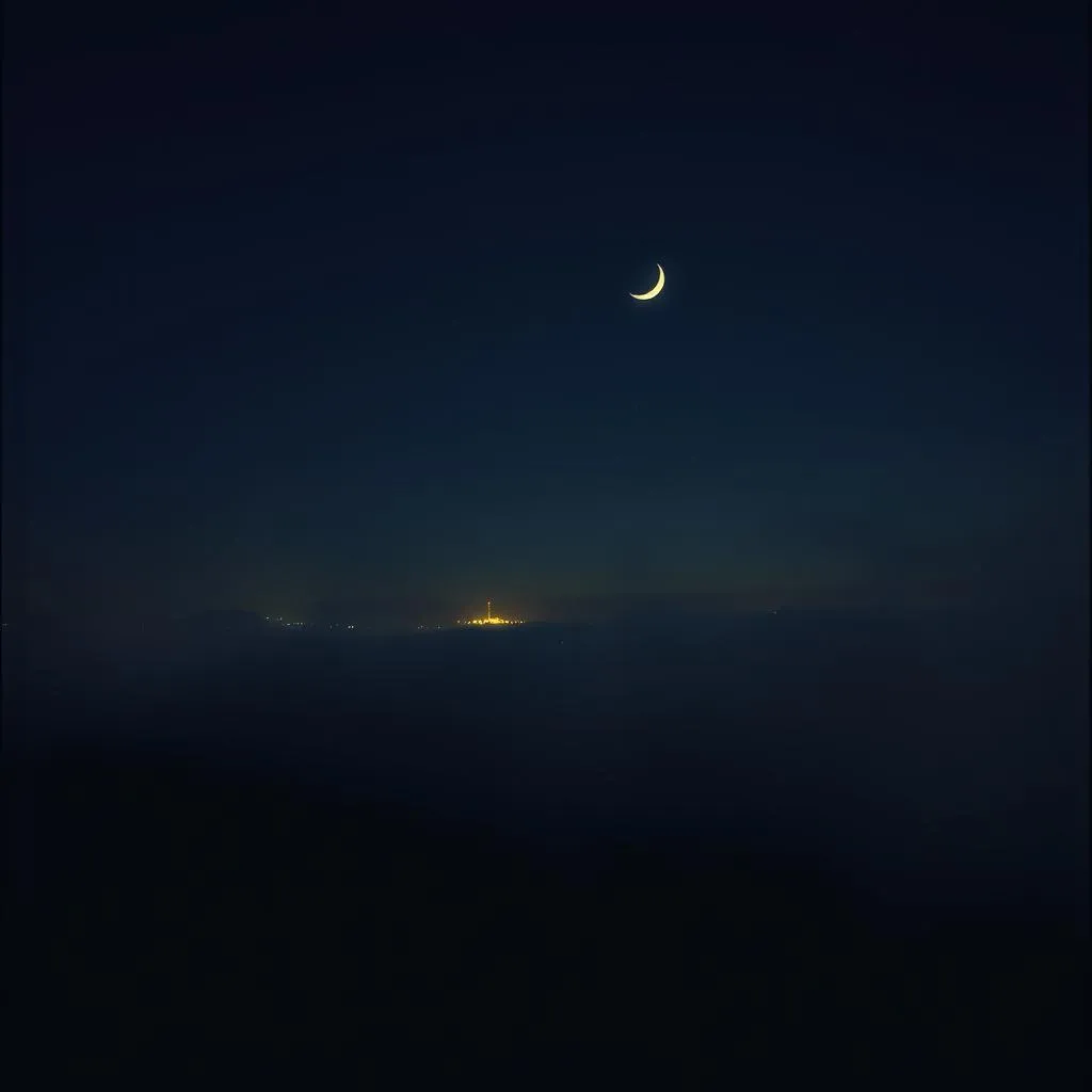 Midnight Whispers