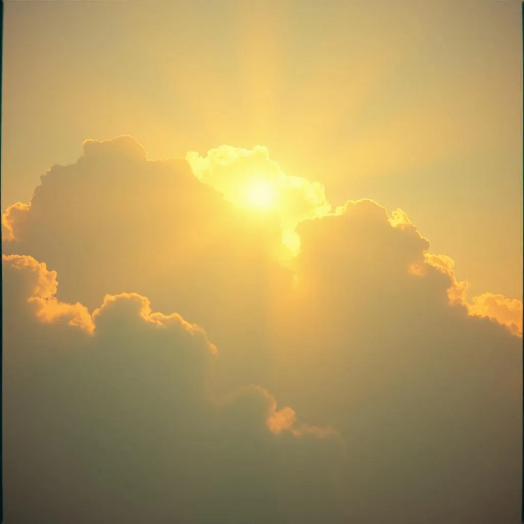 You are holy