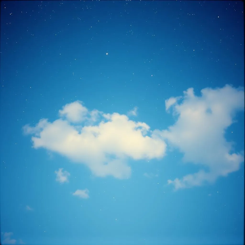 Stars Forever Bright