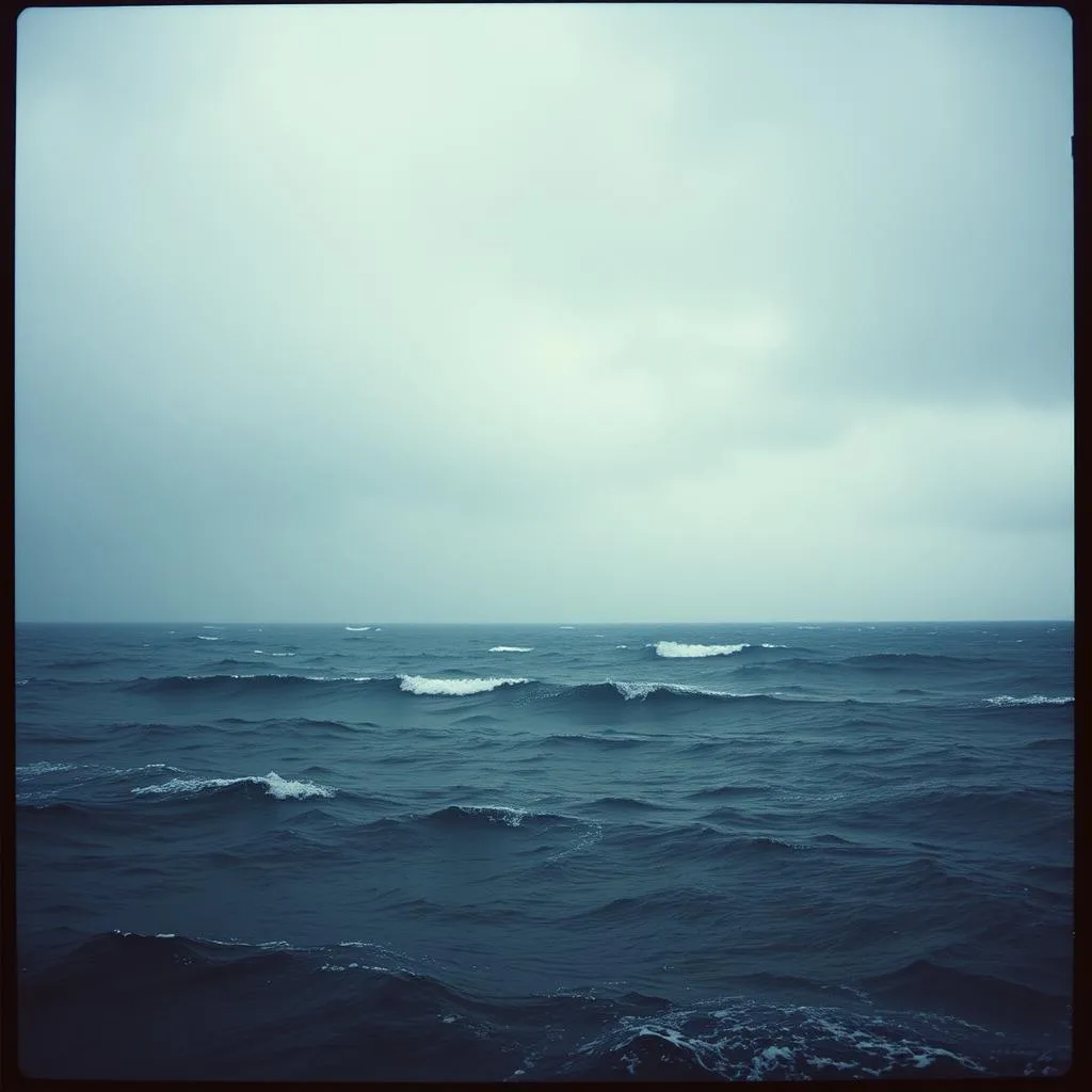 Tears in the Rain