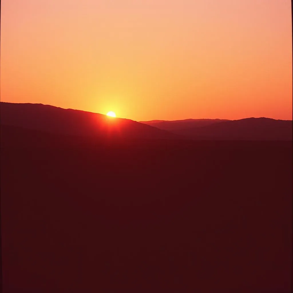 Senja