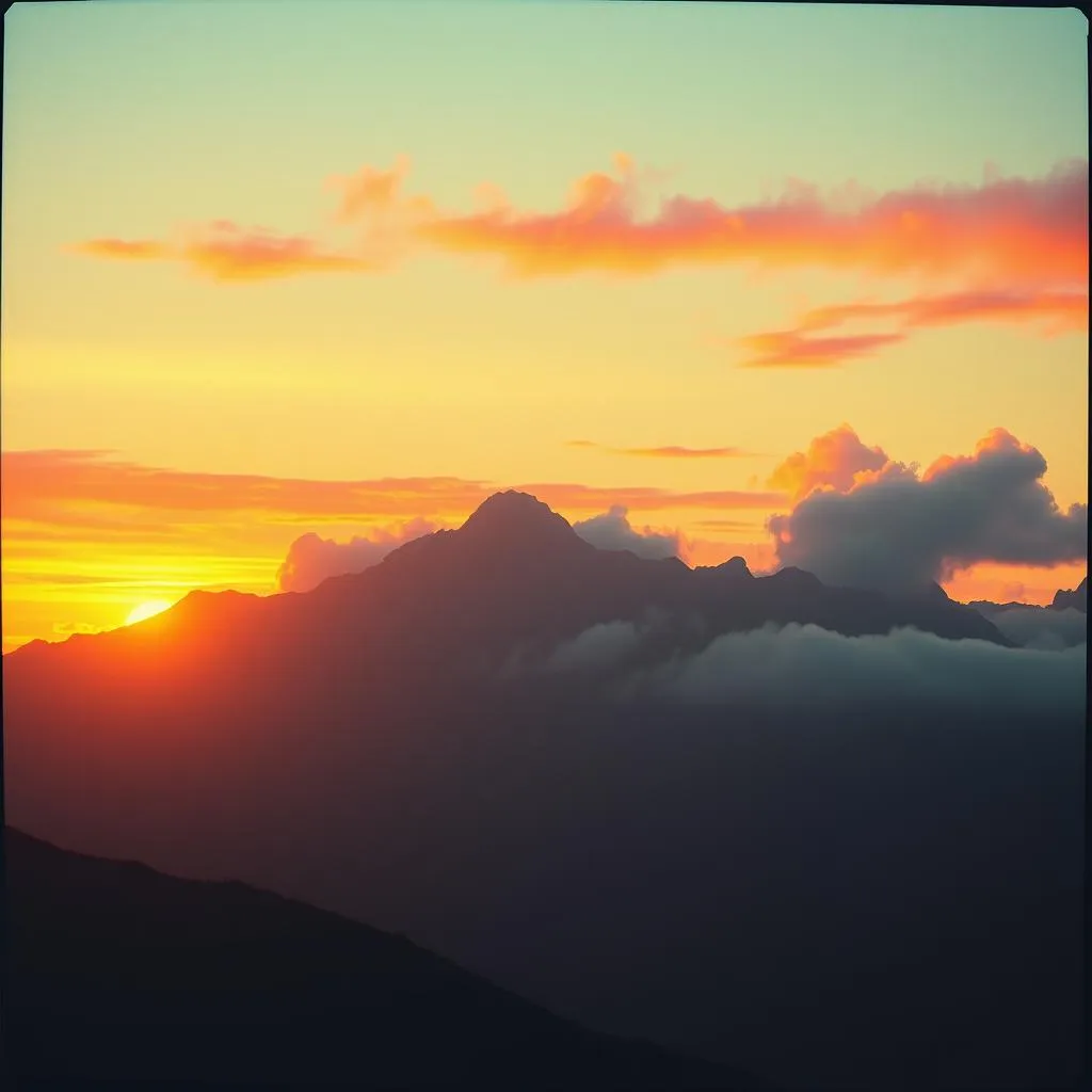 Skyward Rise
