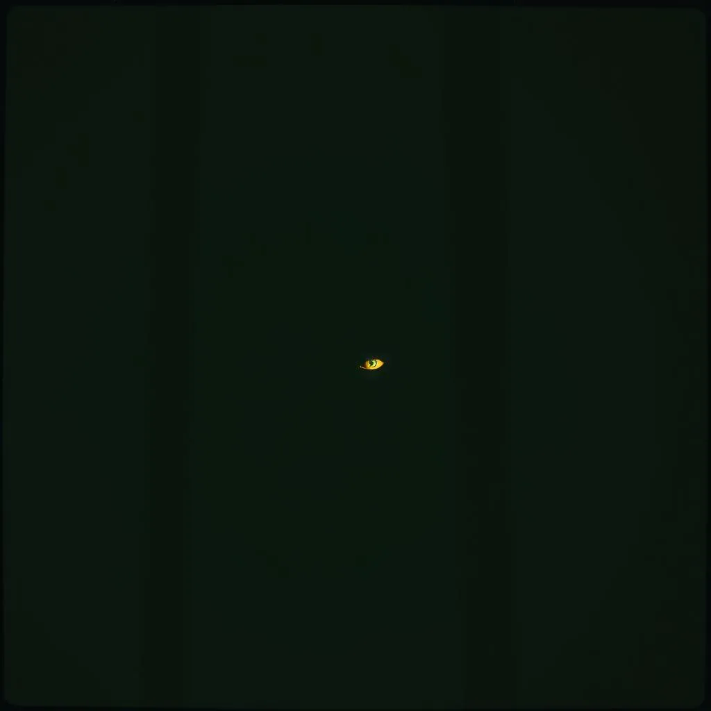 In the Shadows