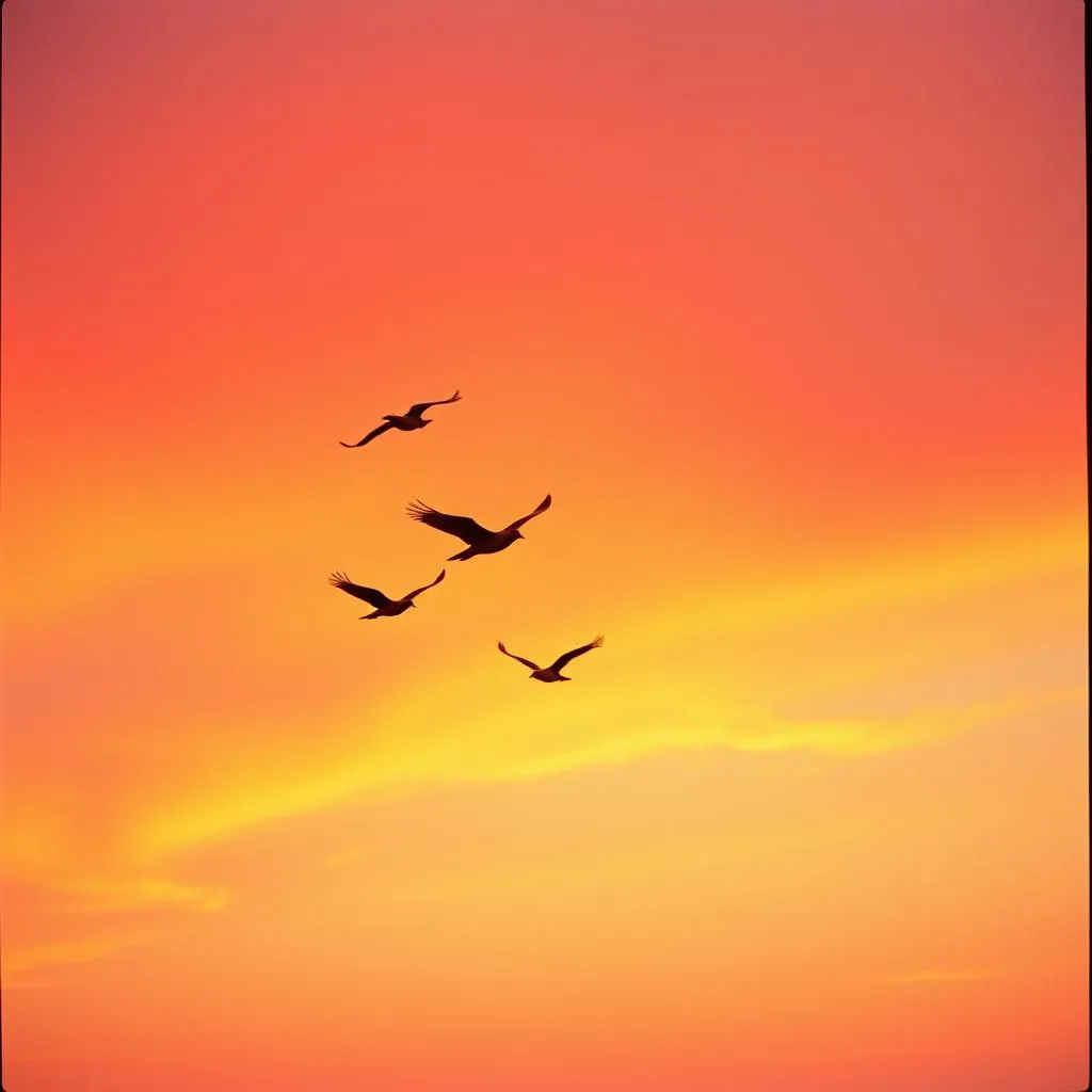Fly High