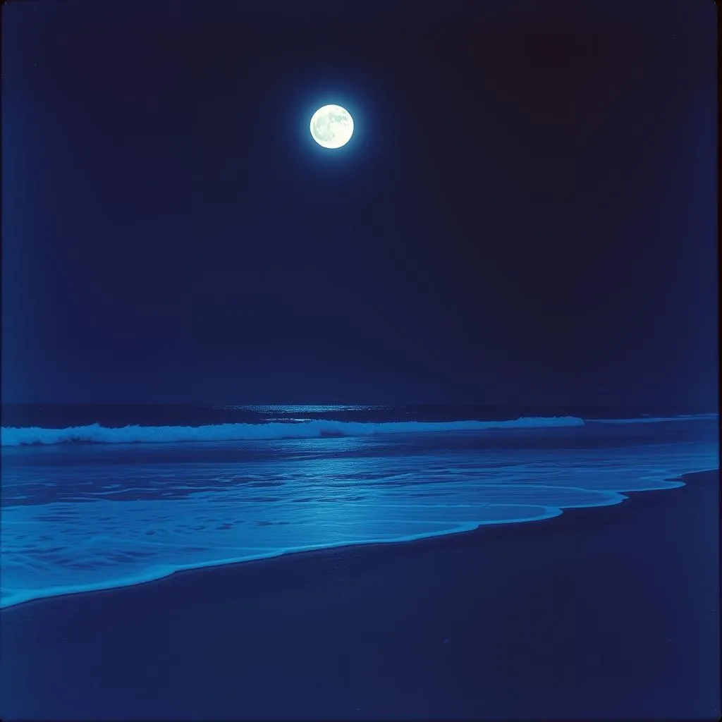 Tides Change