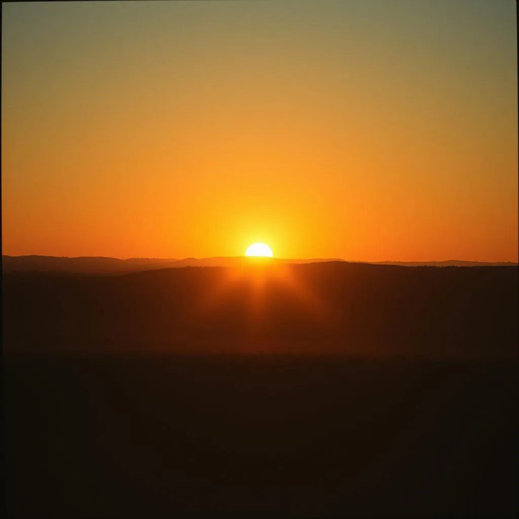 Shine On Through the Night