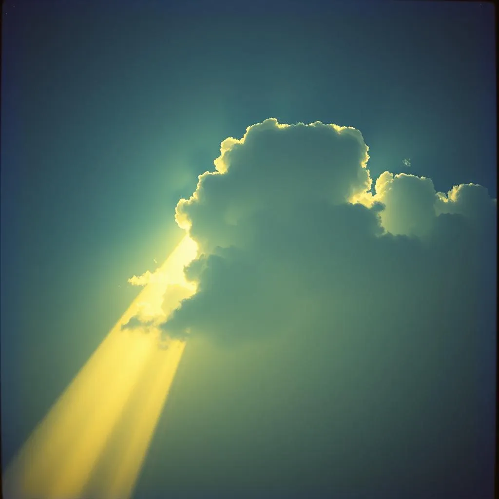 You can weather the storm