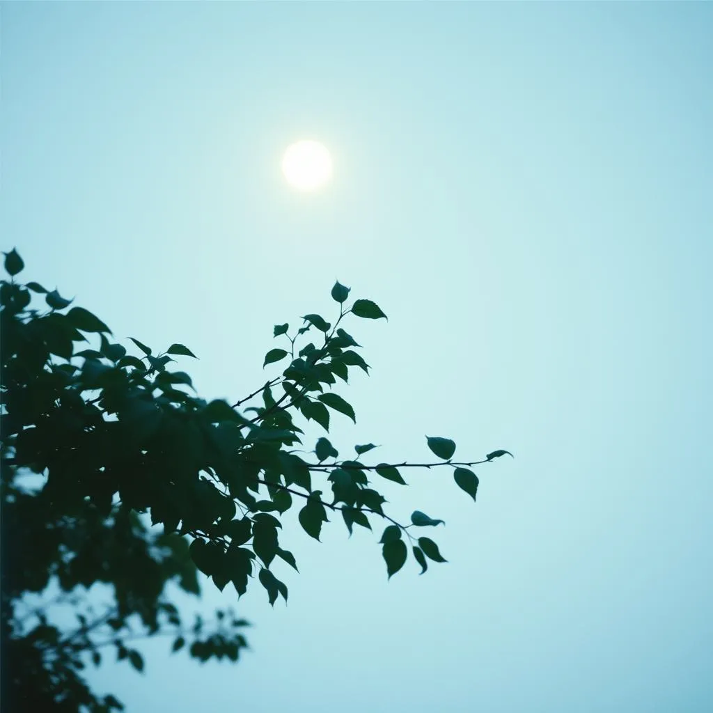 Chill Breeze