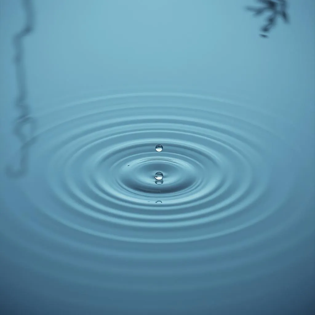 Rainfall Serenity