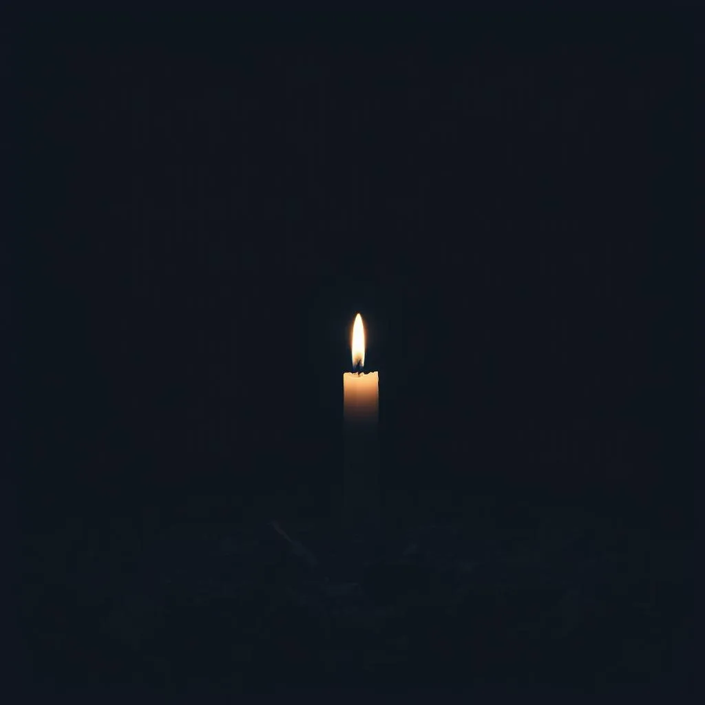 Cenere solo cenere