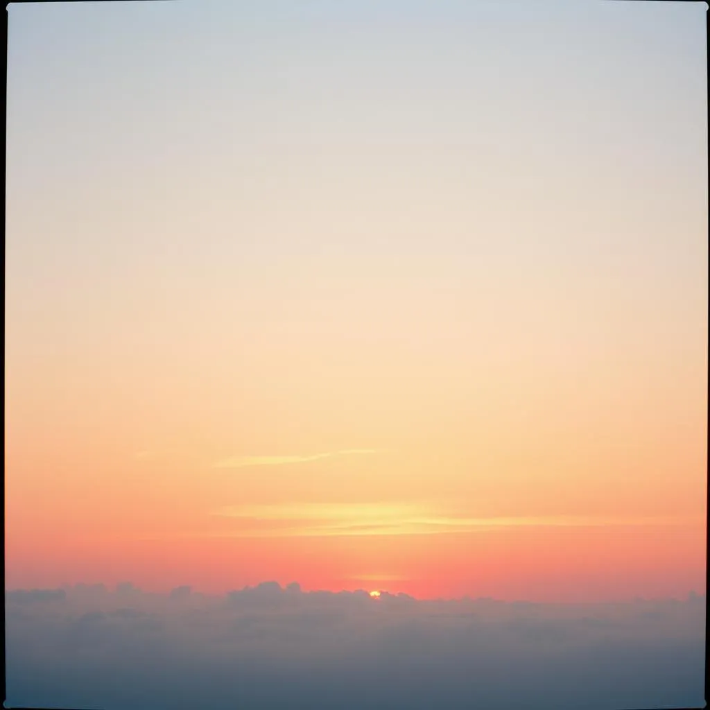 À l' ombre d Eden 