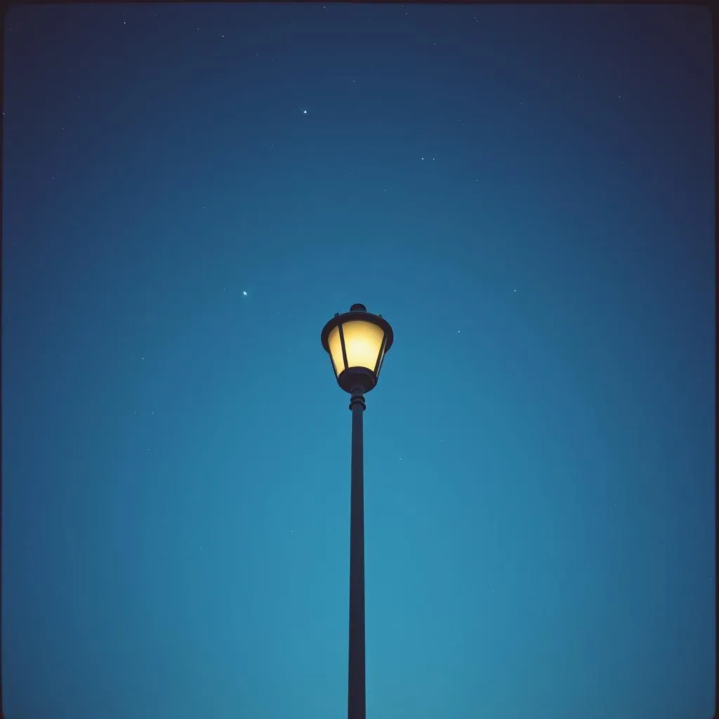 Skylights from Evelyn Siliakus 