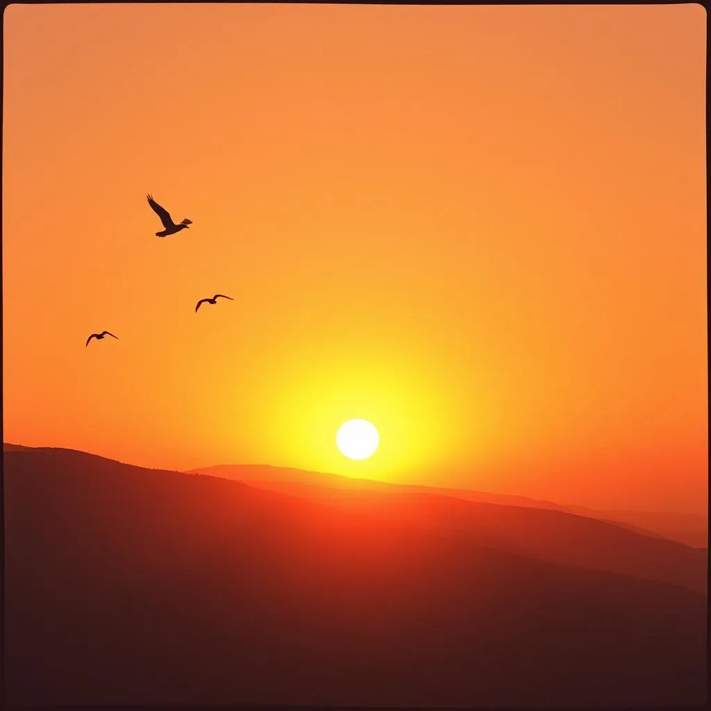 Wings of Hope