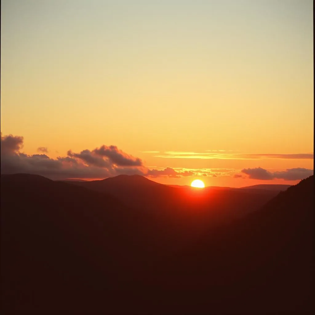 Beautiful Earth