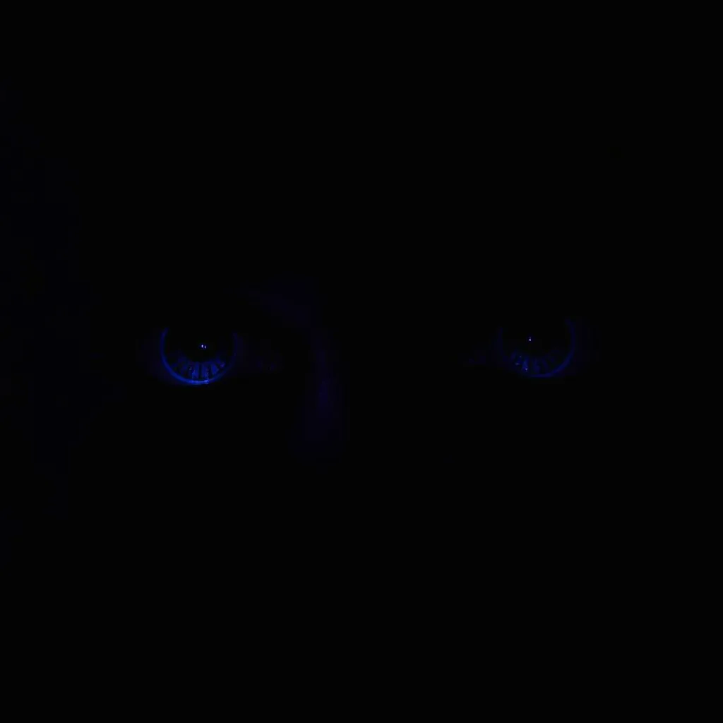 Tus Ojos