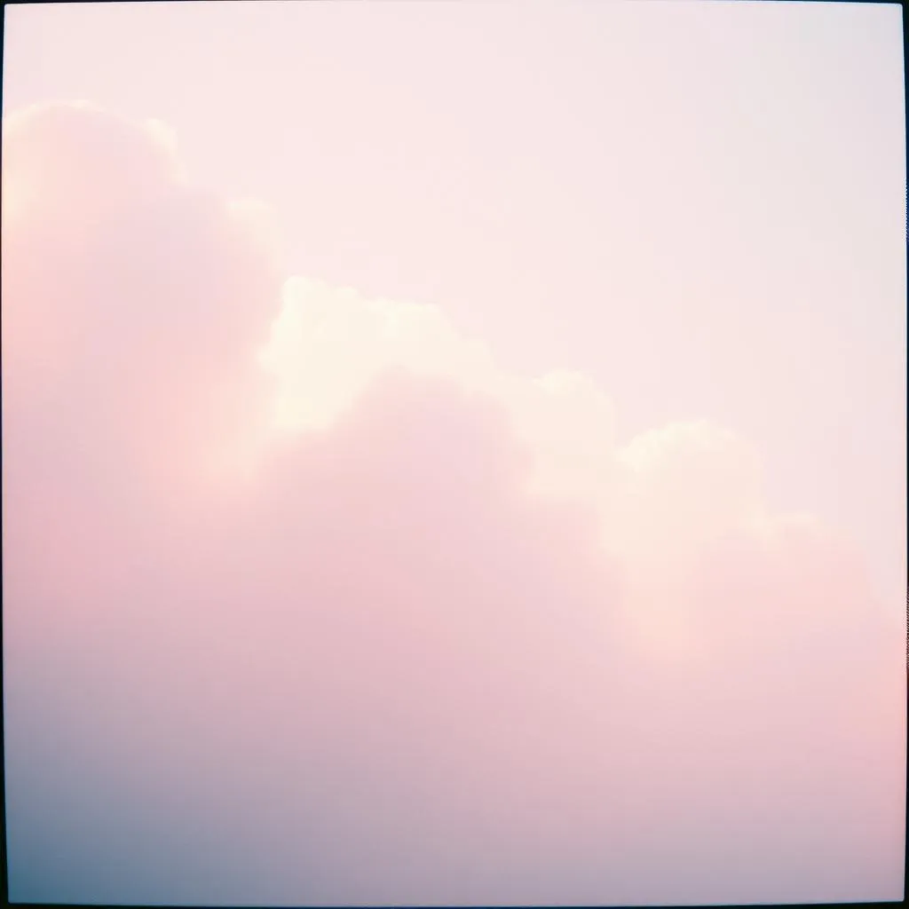 연민