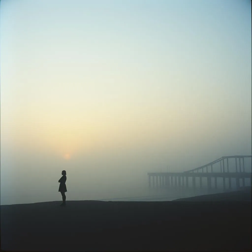 Shadows of a Broken Love