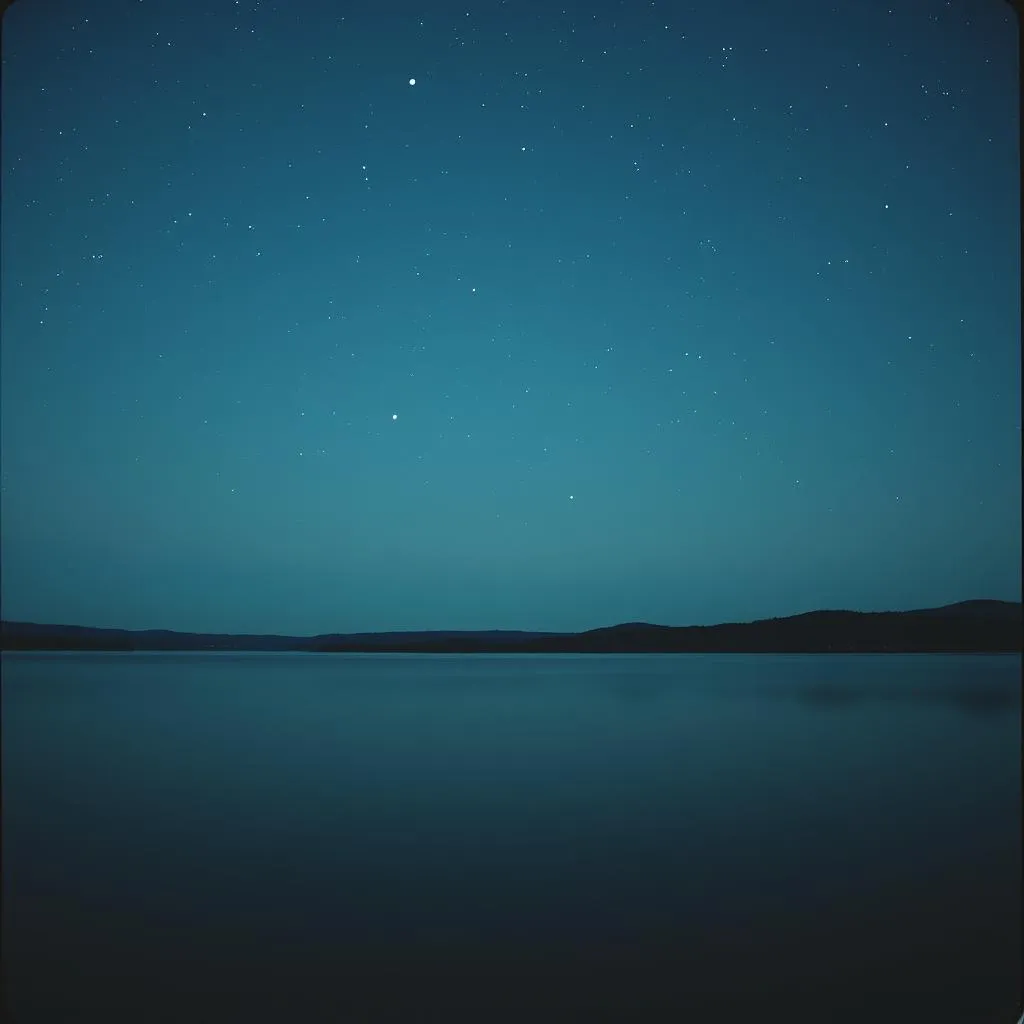 Moonlight Whispers