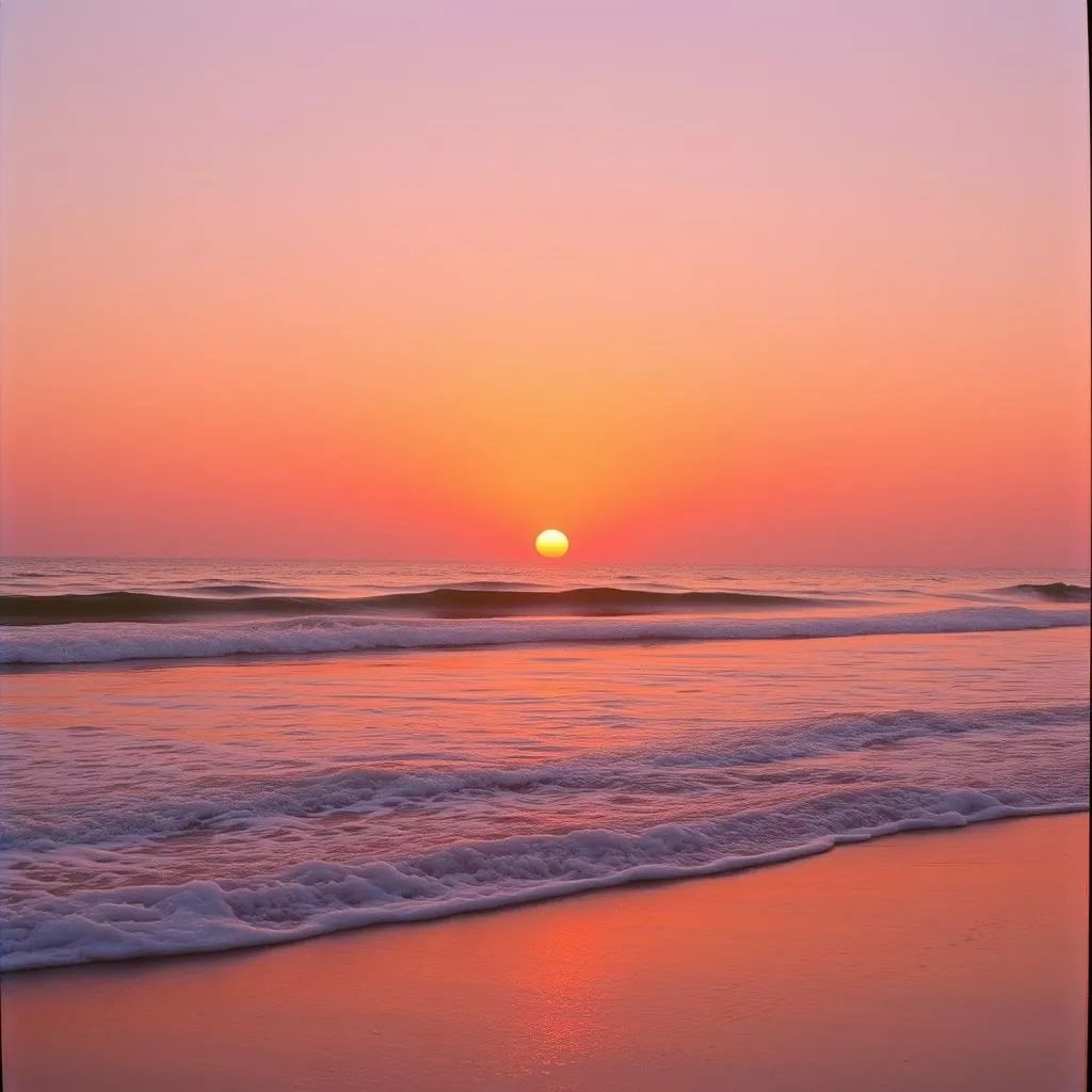 "Sunset Dreams"