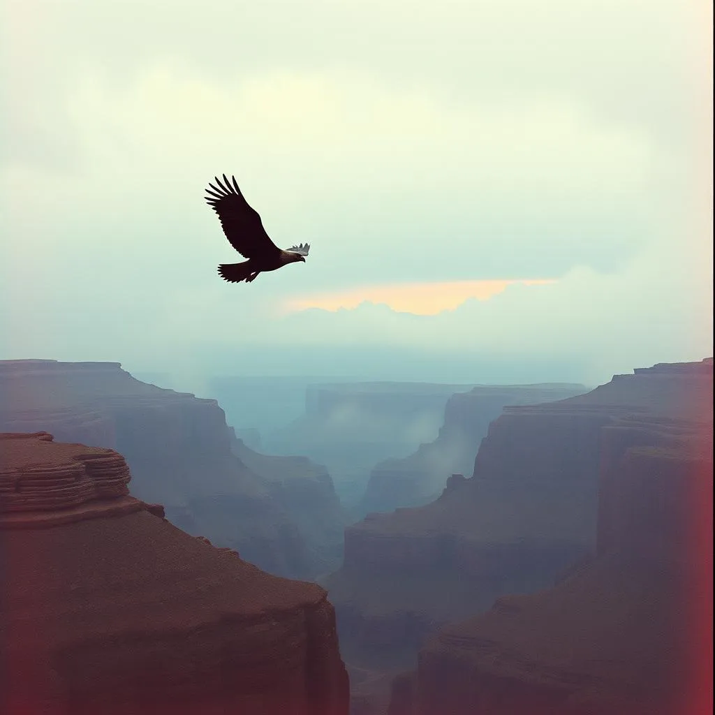 Red Eagles visions