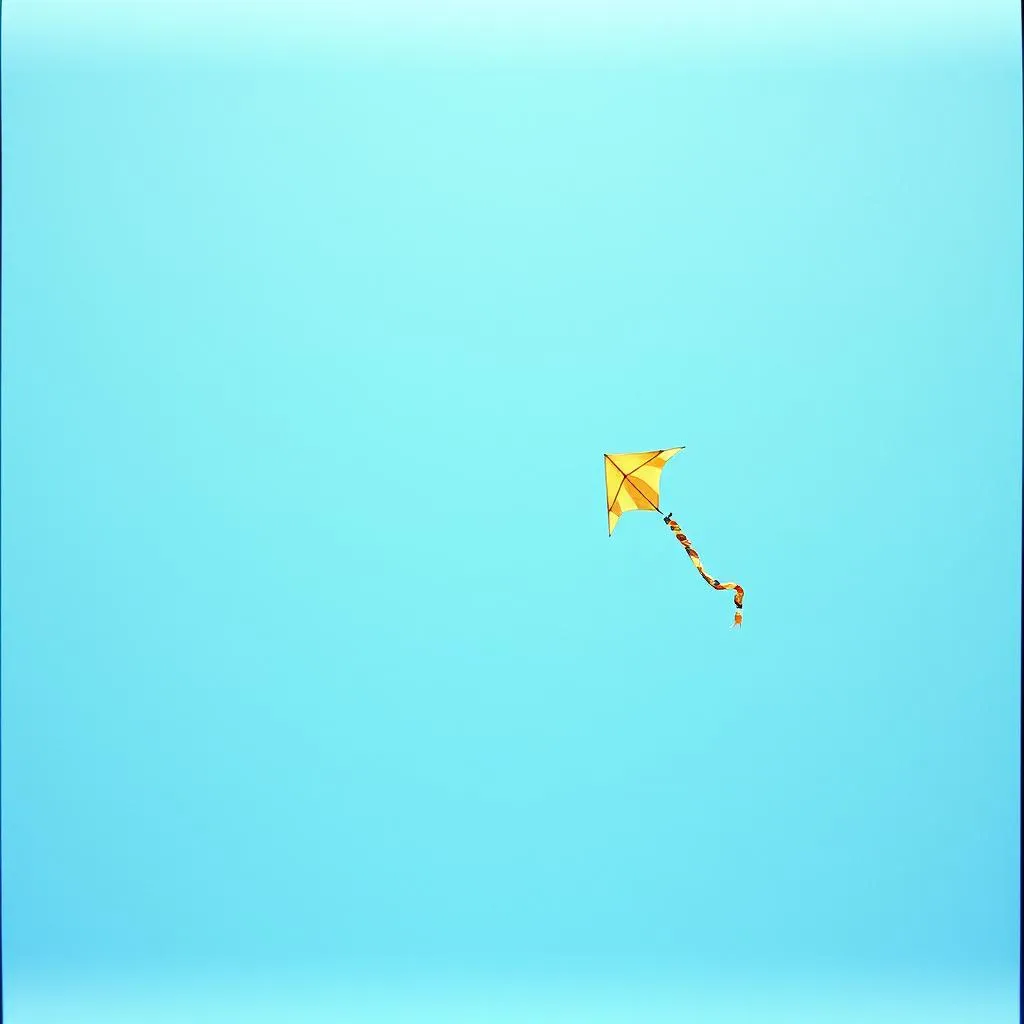 Kites in the Sky