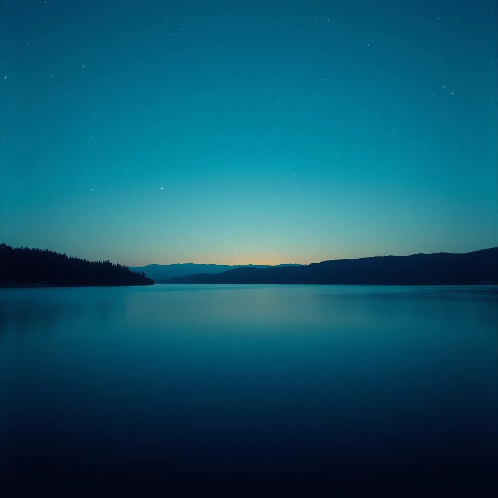 Touch by the Night(Ital.)