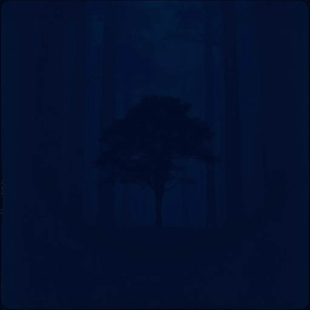 Company of Shadows