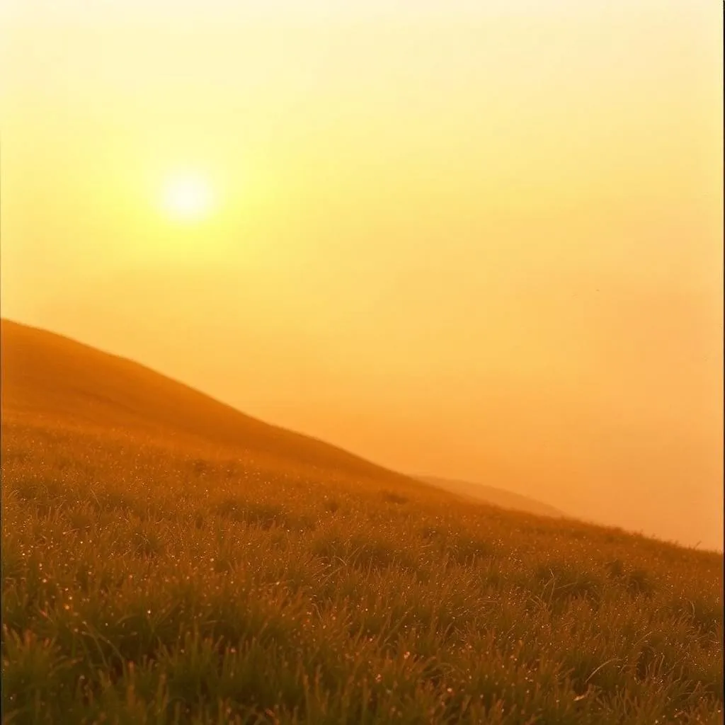 Sunrise