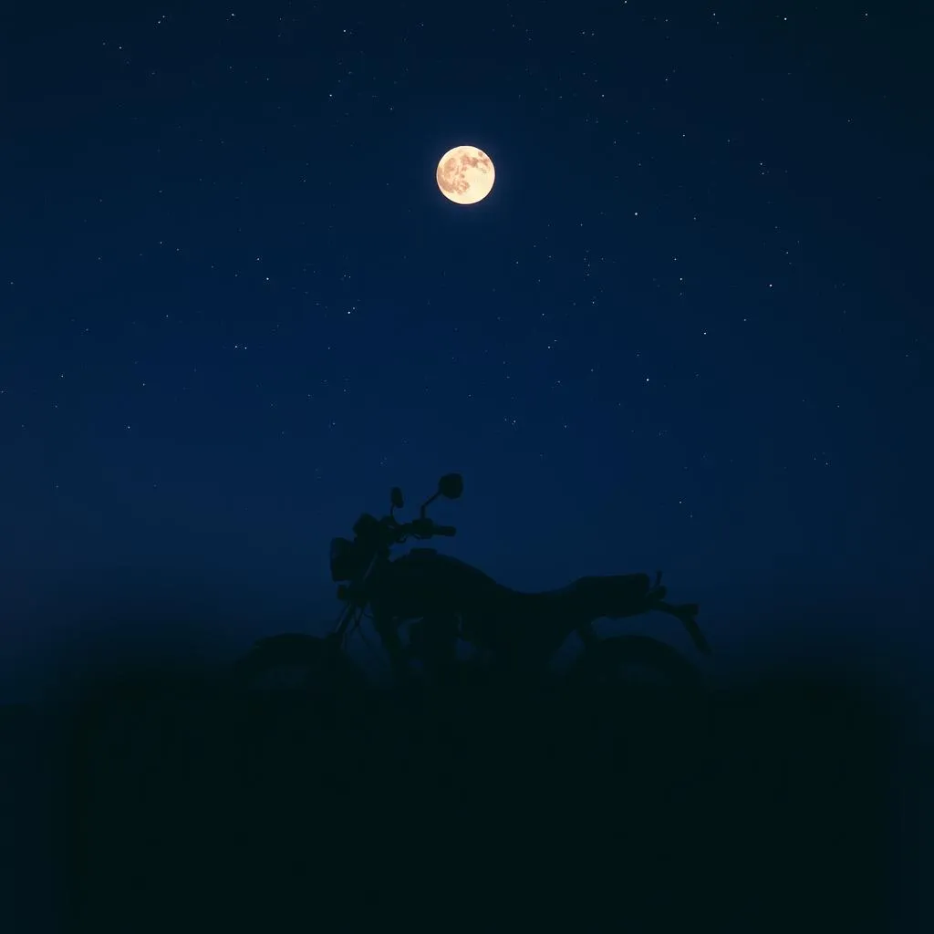 The Mysterious Rider