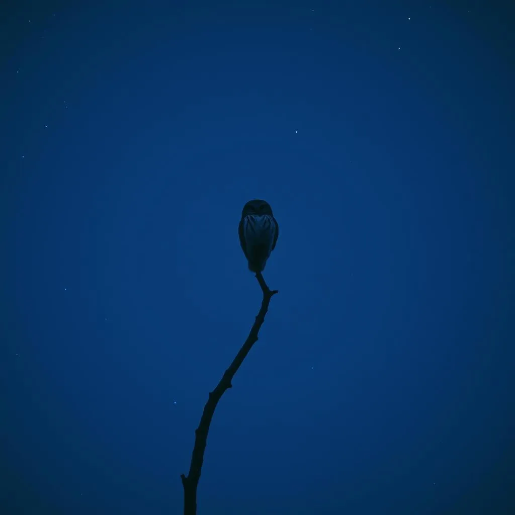 Heart's Tangled Fight