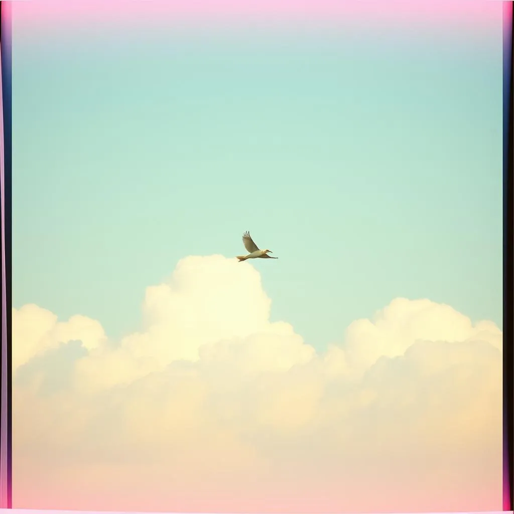 Fly as You Are