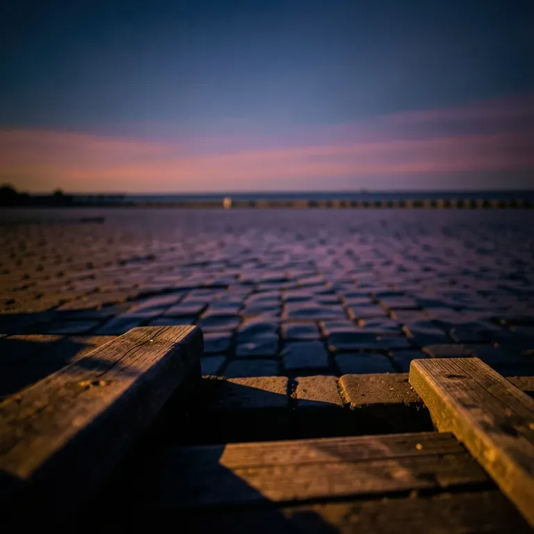 Before the Dark